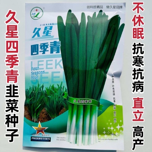 淮安久星四季青韭菜种子不休眠宽叶韭菜抗寒抗病直立高产四季蔬菜种子