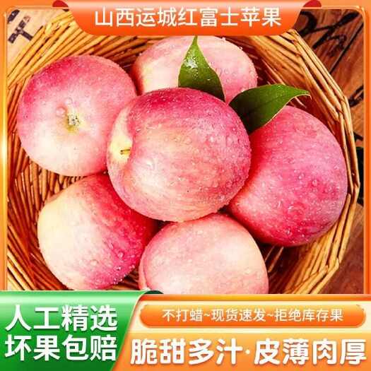 浠水县山西运城红富士苹果脆甜红粉佳人整箱5/10斤新鲜水果礼盒大果