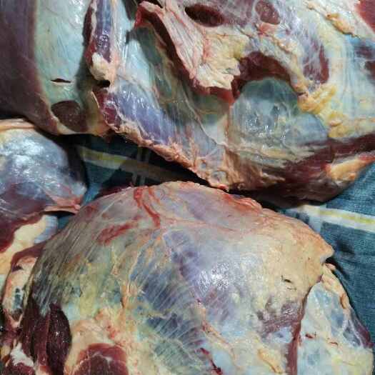 锡林浩特国产草地牛肉    纯干 精修 速冻有长期稳定供货能力