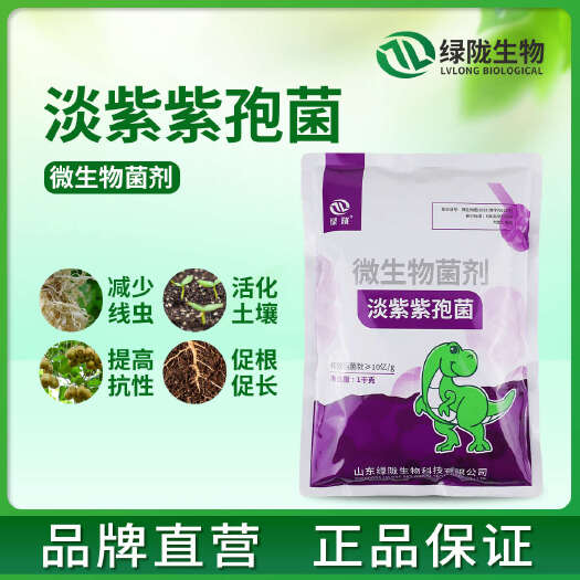 诸城市绿陇淡紫紫孢菌微生物菌剂根结线虫有益菌促根护根 淡紫拟青霉