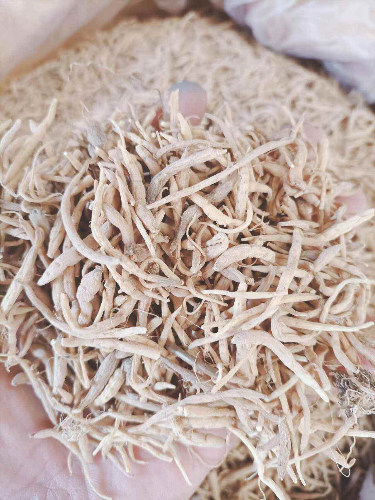 太子参 孩儿参 太子参干货大货批发