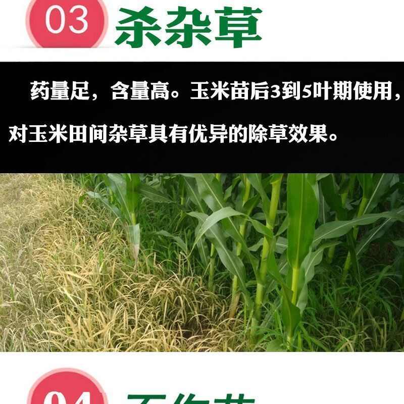 36%高含量150毫升硝烟莠去津玉米苗后除草剂