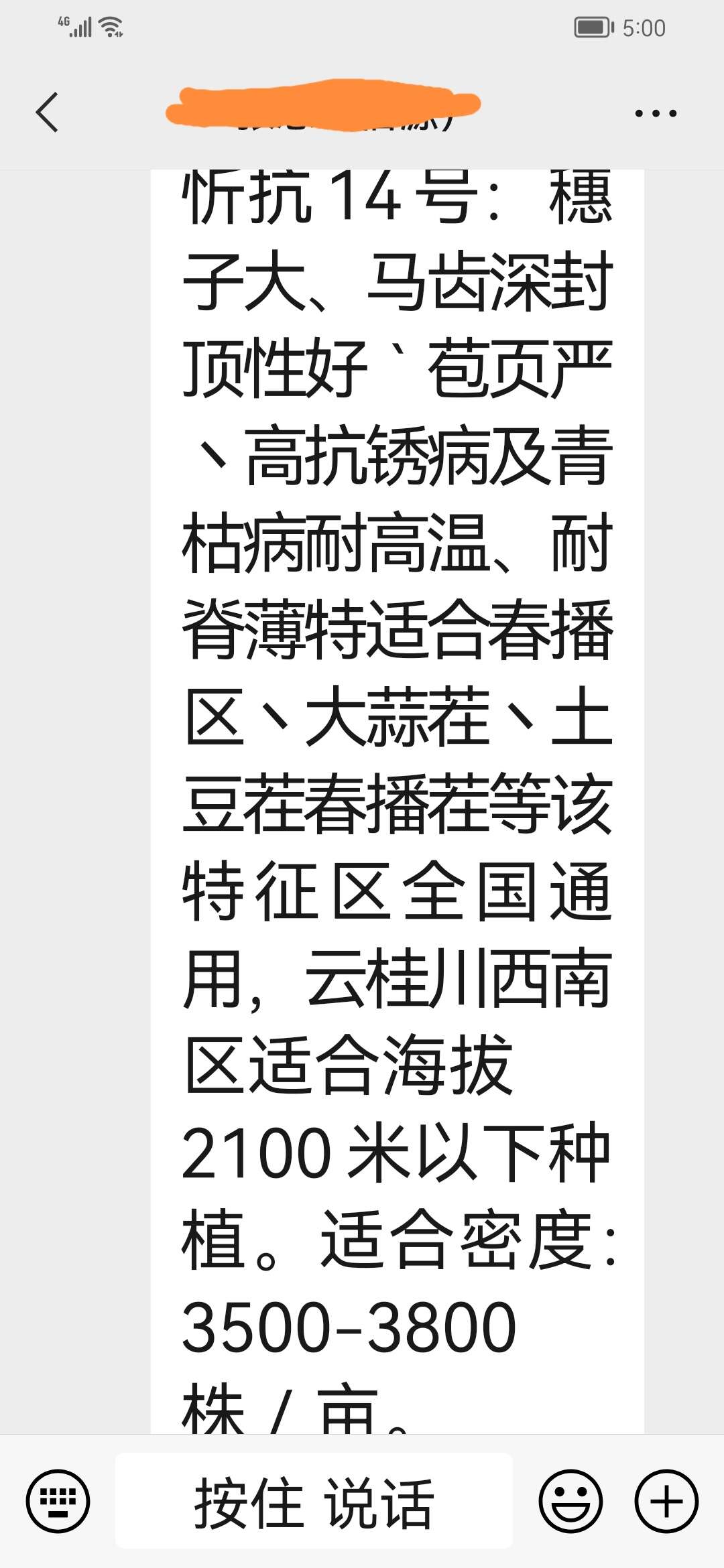 忻抗14玉米种子产量高棒子大矮杆高抗锈病山东厂家直供包邮