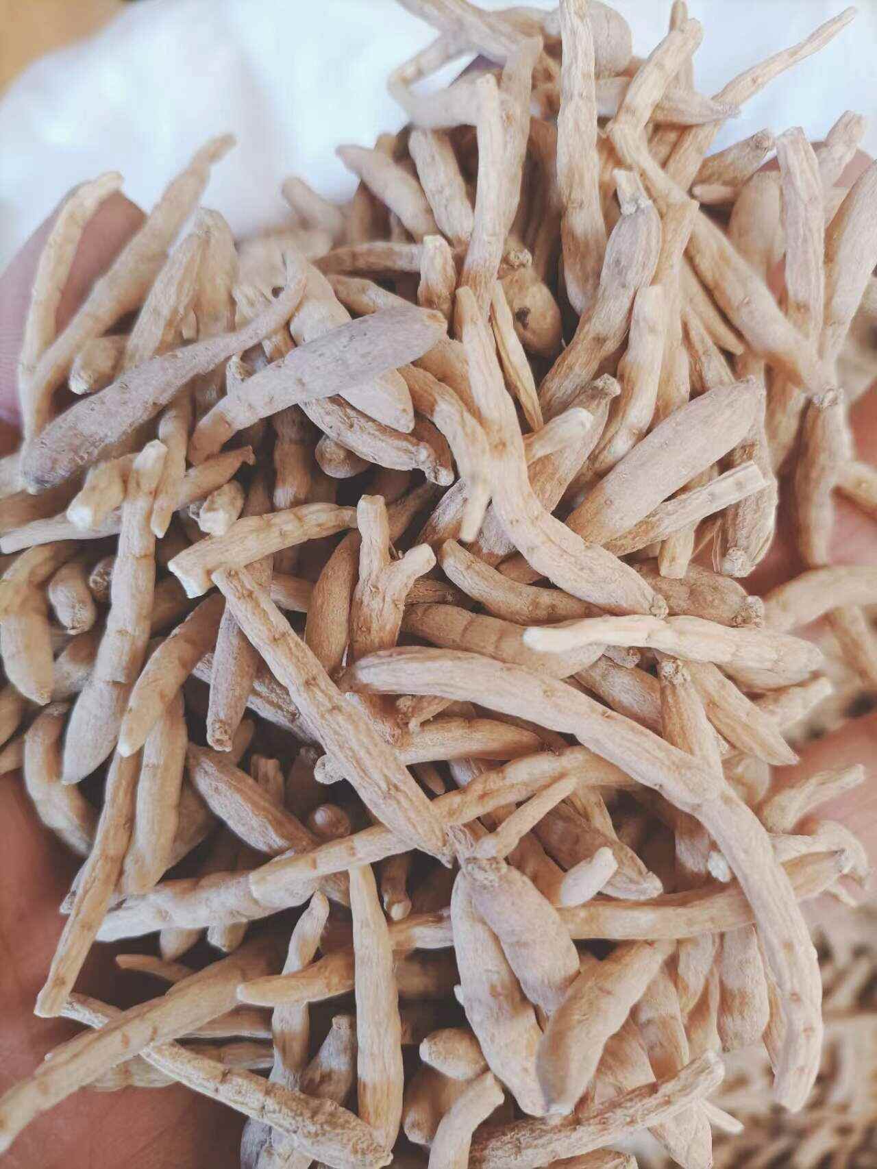 太子参 孩儿参 太子参干货大货批发