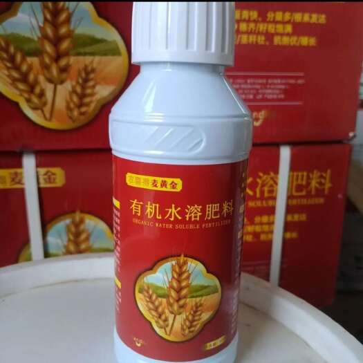 麦黄金壮苗促杆促吸收壮杆壮苗抗倒伏增产增量小麦叶面肥料