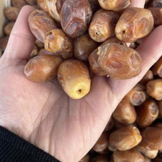沧县伊拉克黄金椰枣，软糯香甜，日期新，甜而不腻