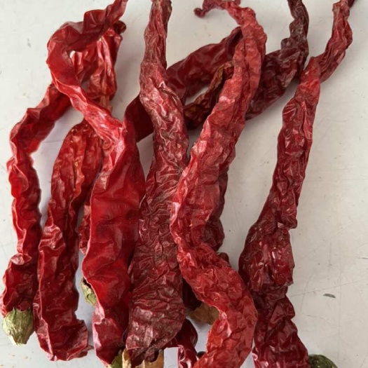 郑州精品线椒