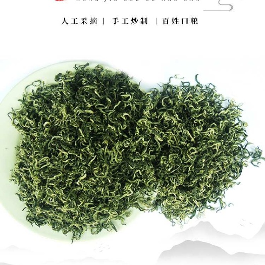 遂川县狗牯脑茶/绿茶/明前茶