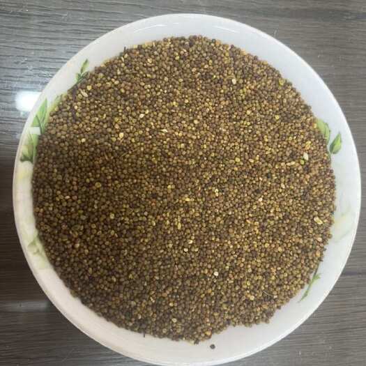 成都菟丝子  精选内蒙小菟丝子  水洗货  含量高