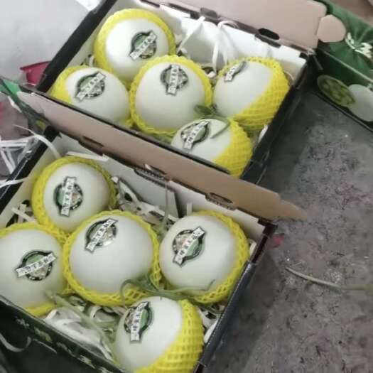 莘县山东燕店玉菇甜瓜，货源充足，糖度高，口感好