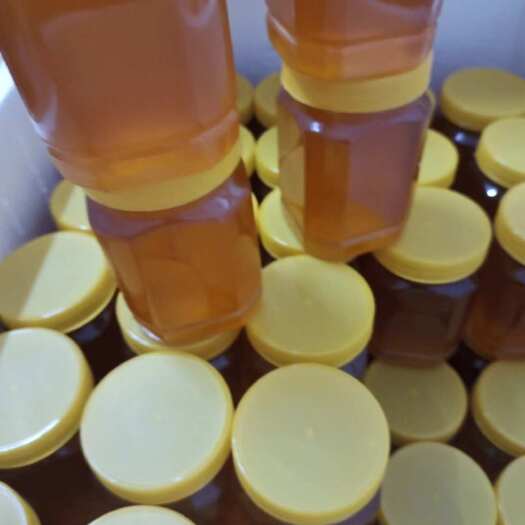 宾阳县蜂蜜，土蜂蜜，