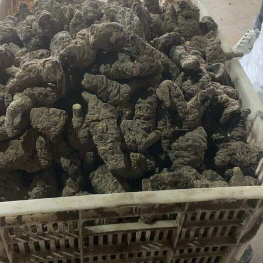 武陟县河南焦作大封怀府生地，熟地，
