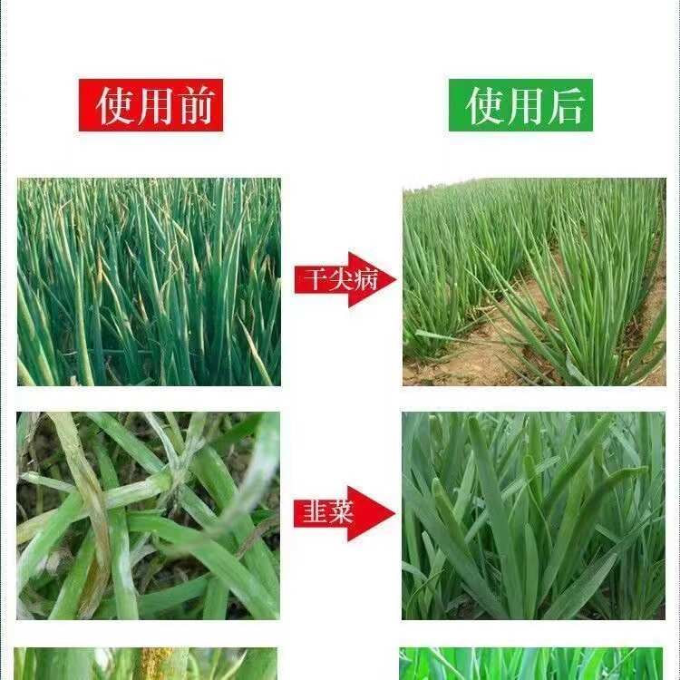 80%福.福锌杀菌剂福美霜福内锌蔬菜黄瓜果树辣椒瓜果炭疽