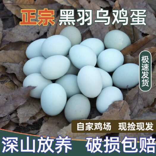 随州【包邮】现捡现发散养绿壳乌鸡蛋420个（毛重47-48斤）