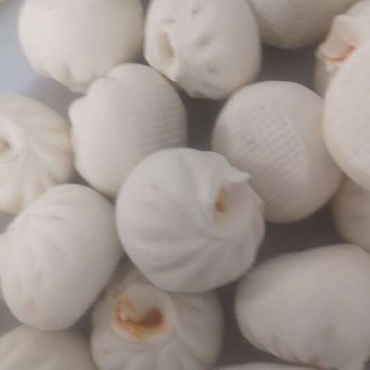 昭通生胚炒肉馅小笼包