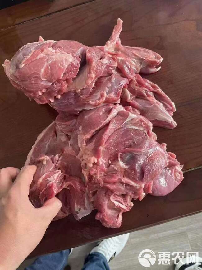 羊腿肉 羔羊腿肉 可以串串 烧烤 红烧 闷 羊肉汤