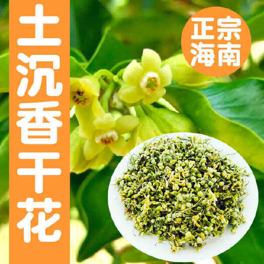 五指山市海南五指山土沉香花正 宗白木香沉香花五指山沉香花