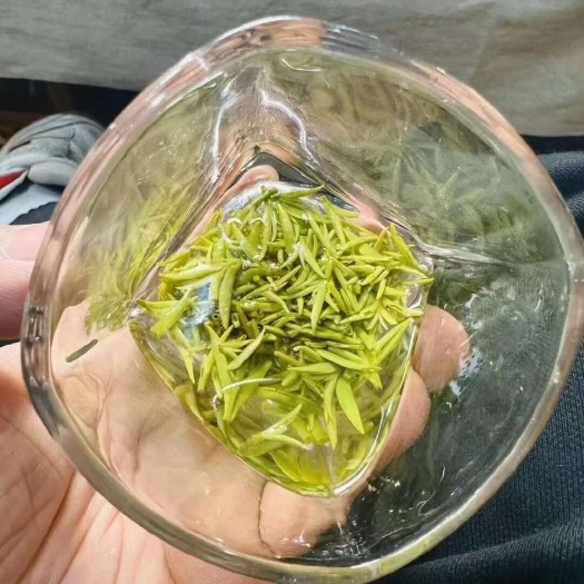 苏州洞庭东山碧螺春原产地