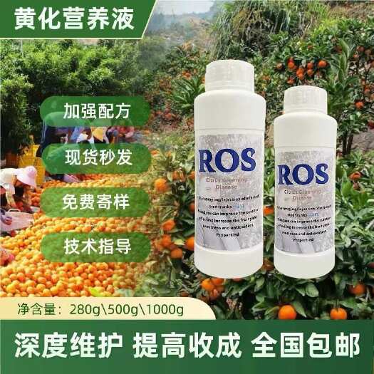 广州柑橘黄龙黄化病营养液溶水原粉ROS果树专用
