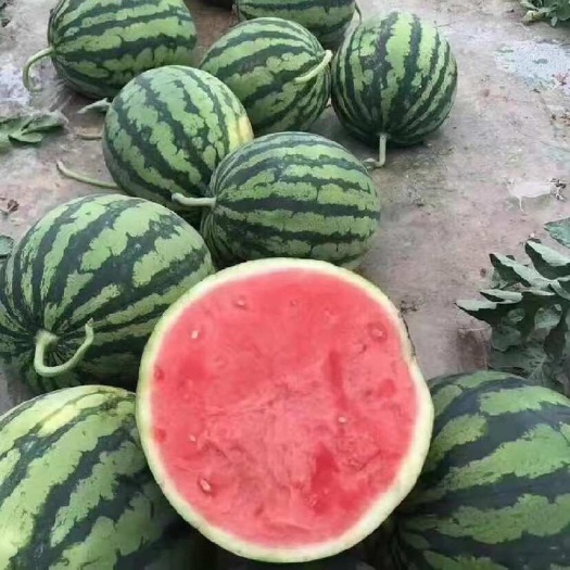 美都西瓜