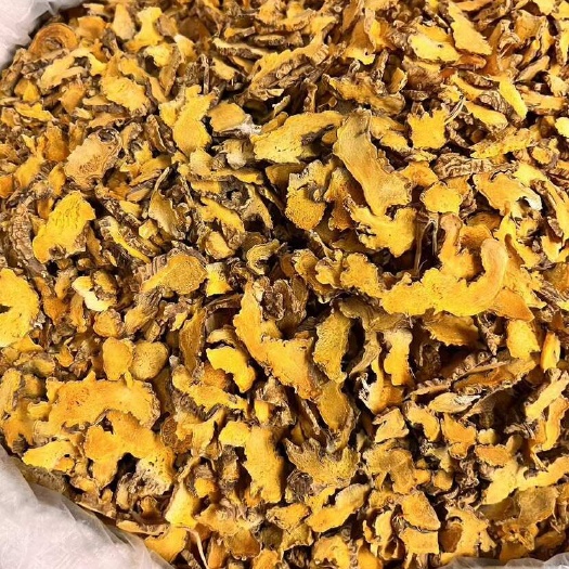 成都黄花射干