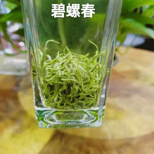 峨眉山市2025年新茶峨眉山碧螺春绿茶浓香型明前花果香散装500g