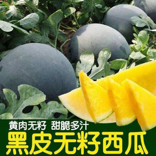 邵东市无籽西瓜种子黄肉西瓜无籽黑皮黄瓤春夏季种植水果甜黄心瓜
