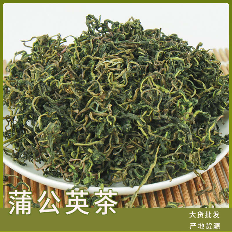 蒲公英茶 批發(fā)新貨蒲公英茶 顏色正綠色 量大價(jià)優(yōu)