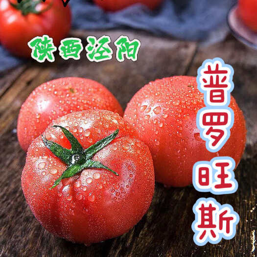 泾阳县陕西泾阳 普罗旺斯 口感番茄 ，一手货源 ，全国发货