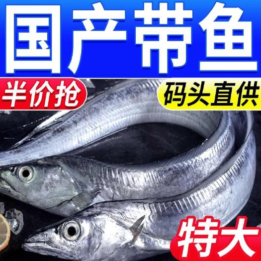 日照【顺丰包邮】东海海捕带鱼现捕整条新鲜海鲜鲜活速冻小眼油带刀鱼