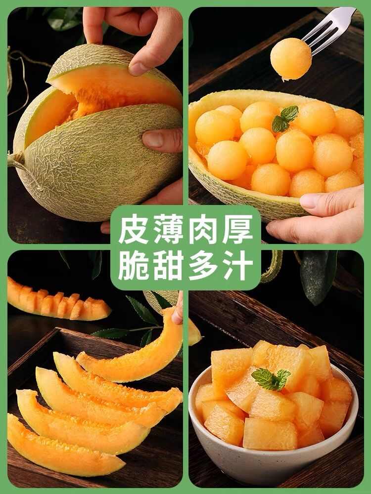 【脆甜多汁】哈密瓜新鲜水果西州蜜瓜5/9斤包邮