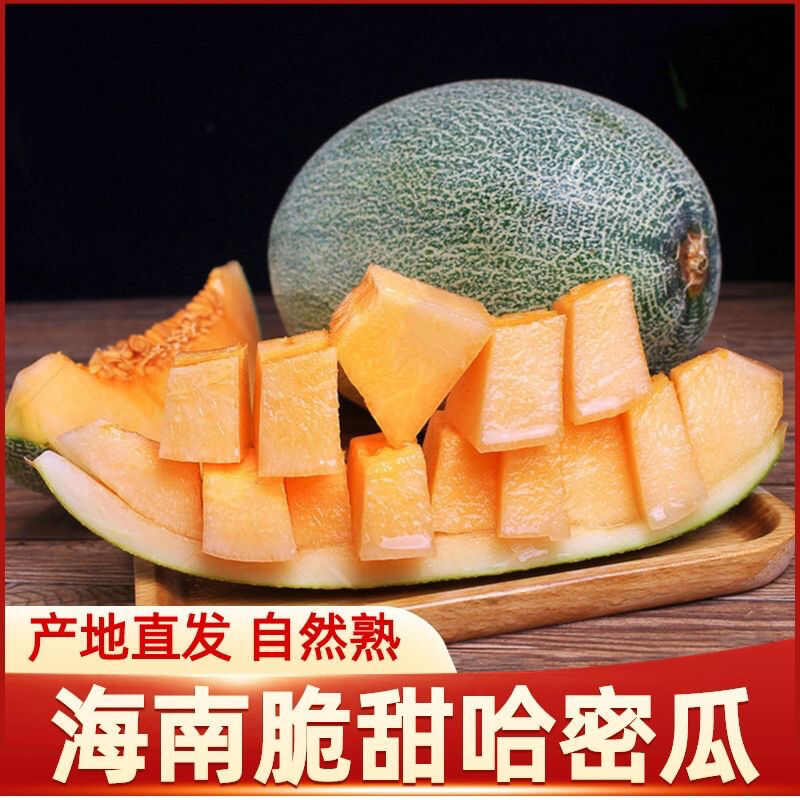 【脆甜多汁】哈密瓜新鲜水果西州蜜瓜5/9斤包邮