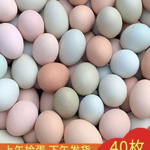  土鸡蛋