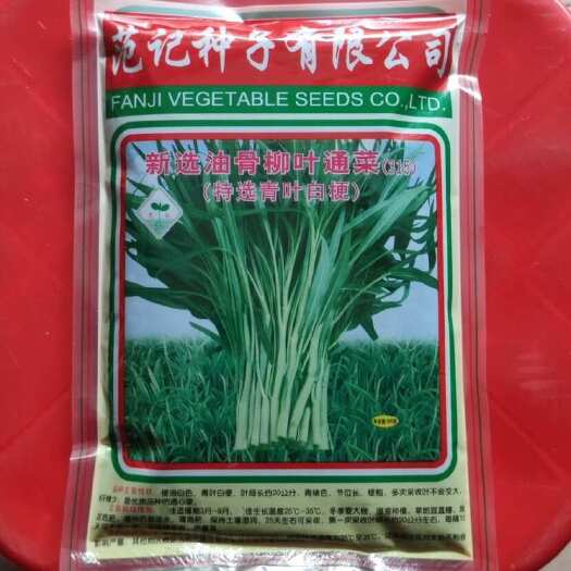 广州范记315油骨柳叶通心菜空心菜种子青叶白梗通菜种子蕹菜蔬菜种
