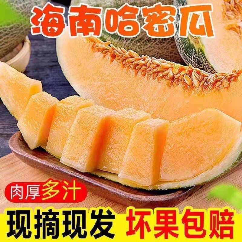 【脆甜多汁】哈密瓜新鲜水果西州蜜瓜5/9斤包邮