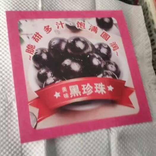 临沭县（树葡萄）懂得老板联系我