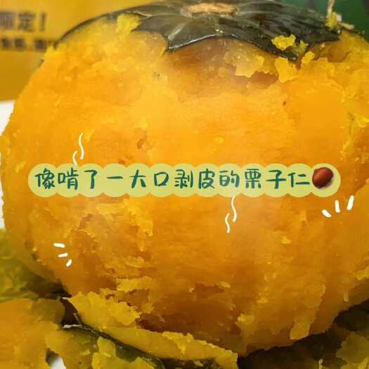 邵东市日本南瓜种子甜面香糯春秋蔬菜种籽黑板栗南瓜四季播种籽