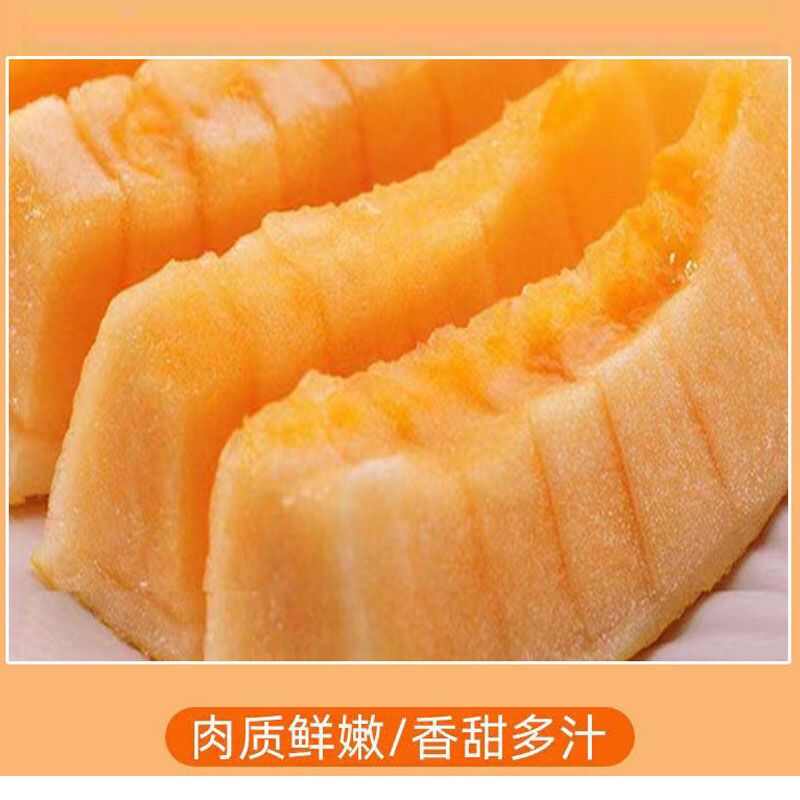 【脆甜多汁】哈密瓜新鲜水果西州蜜瓜5/9斤包邮