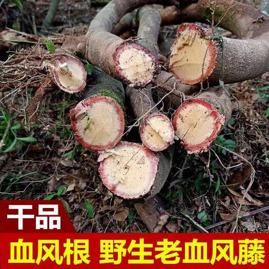 仁化县深山血风根小鸡血藤血风藤干品岩豆藤铁牛入石老人根中药材山鸡血