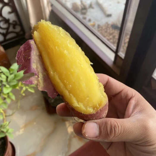 三河市济薯26大量出货！现货红皮黄心！甘面甜