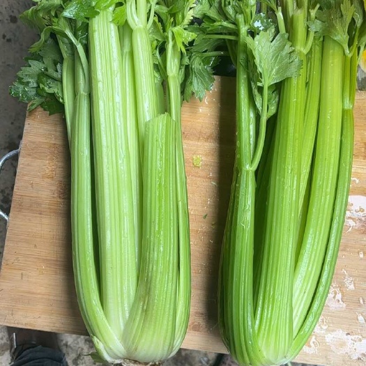 次品西芹，冷冻，快餐预制菜专用，烧心烂心，不空心不影响实用