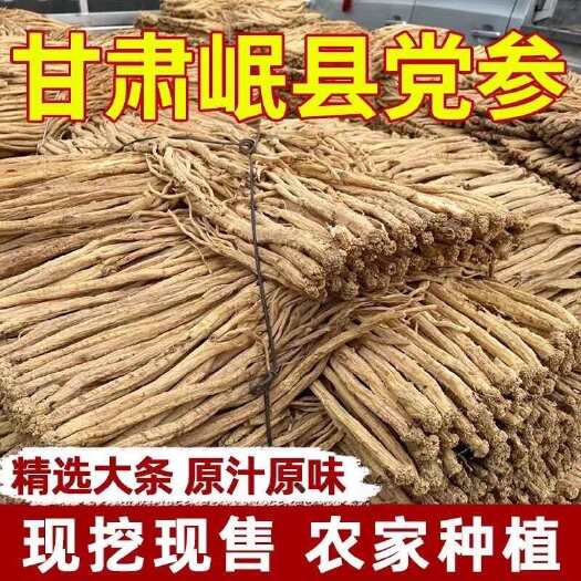 岷县甘肃整颗党参产地直发无硫无熏染中大条