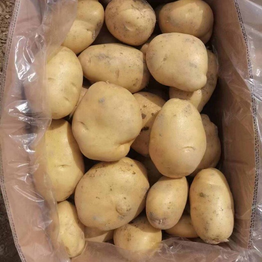 平度市二两三两通天，可装袋，可装箱