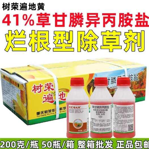 树荣遍地黄41%草甘膦异丙胺盐除草剂死草烂根非耕地杂草除草药