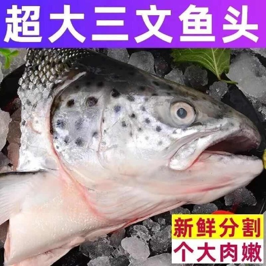 上海冰鲜三文鱼冷冻发货大个新鲜烧烤炖汤食材海鲜水产三文鱼鱼头