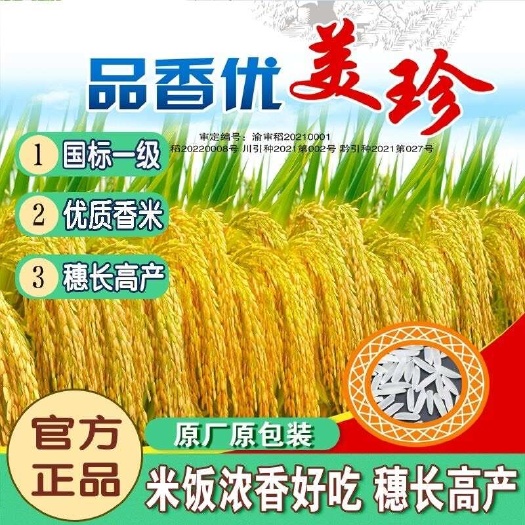 正品一级品香优美珍杂交水稻种子香稻优质香米种抗病国色天香