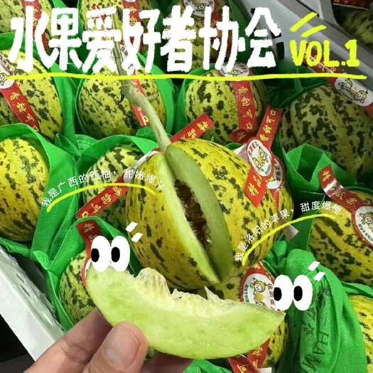 邵东市八里香甜瓜种子特甜酥脆香瓜籽早熟花皮瓜春夏季水果种子