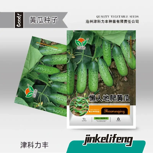 鄄城县黄瓜春夏种殖水果黄瓜