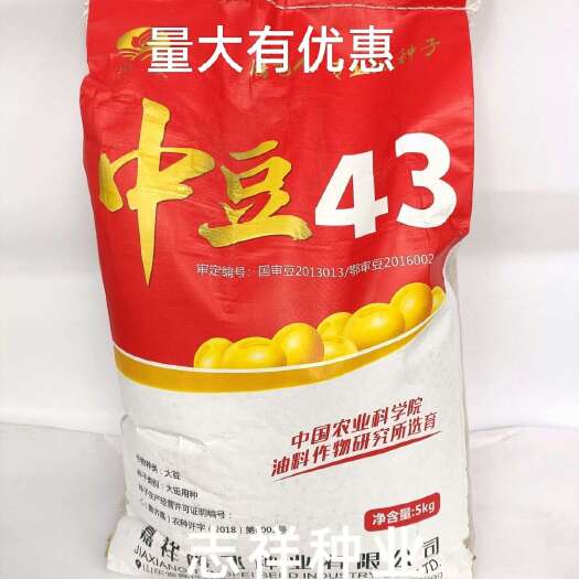 华容县大田种植中豆43黄豆种子结荚密抗倒伏耐热夏播大豆92天5公斤