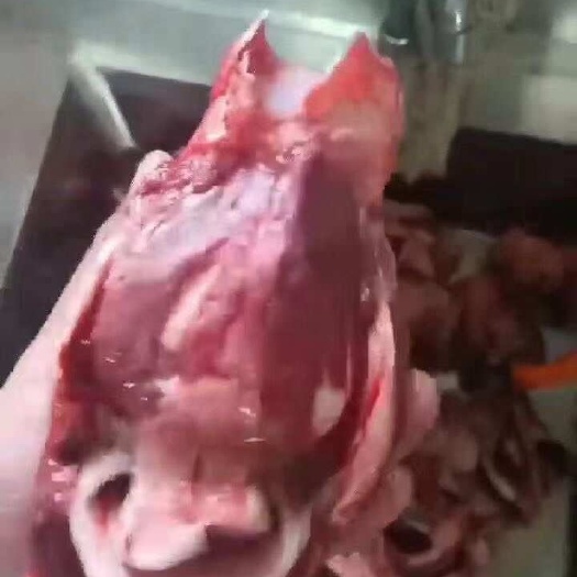 汕頭喉管頭脆骨